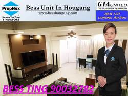 Blk 133 Lorong Ah Soo (Hougang), HDB Executive #165998892
